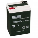 Pin dùng cho cân cub Pin dùng cho cân cub, Pin dung cho can cub - image4